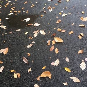 Meet your Posher, Hendrika